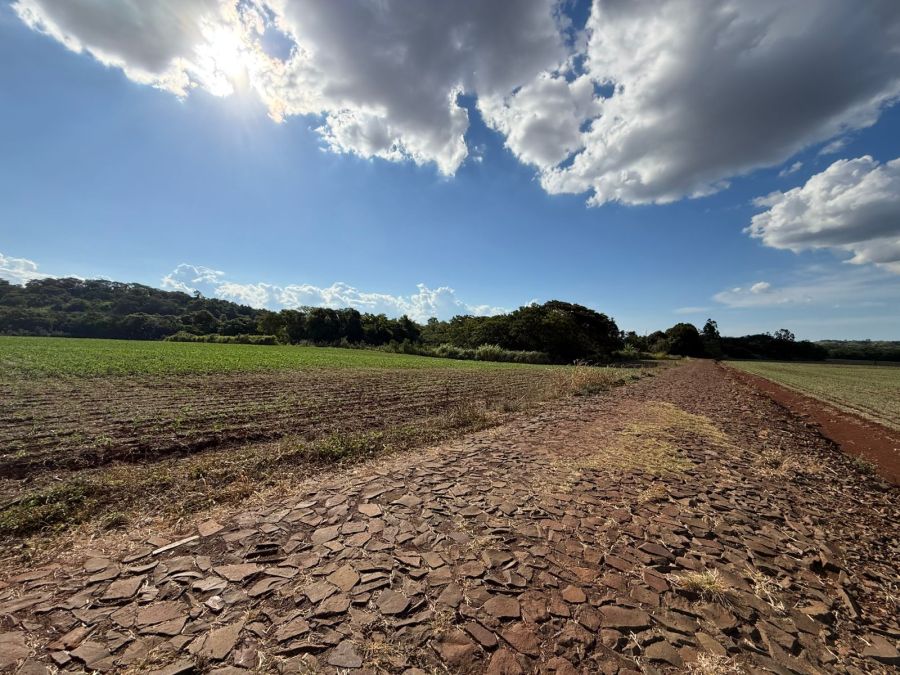 S�tio - Venda - Linha S�o Jorge - Santa Helena - PR