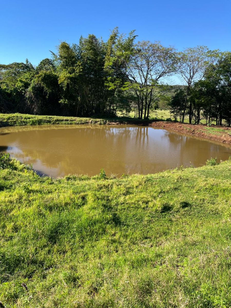 S�tio - Venda - S�o Roque - Santa Helena - PR