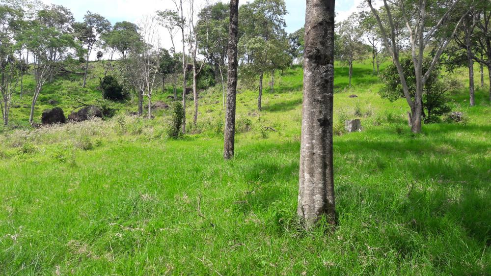 S�tio - Venda - S�o Roque - Santa Helena - PR