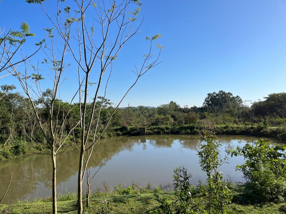 Ch�cara - Venda - S�o Clemente - Santa Helena - PR