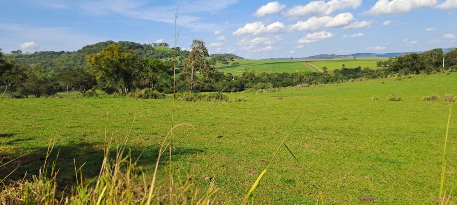 Fazenda - Venda - Rural - Santa Helena - PR