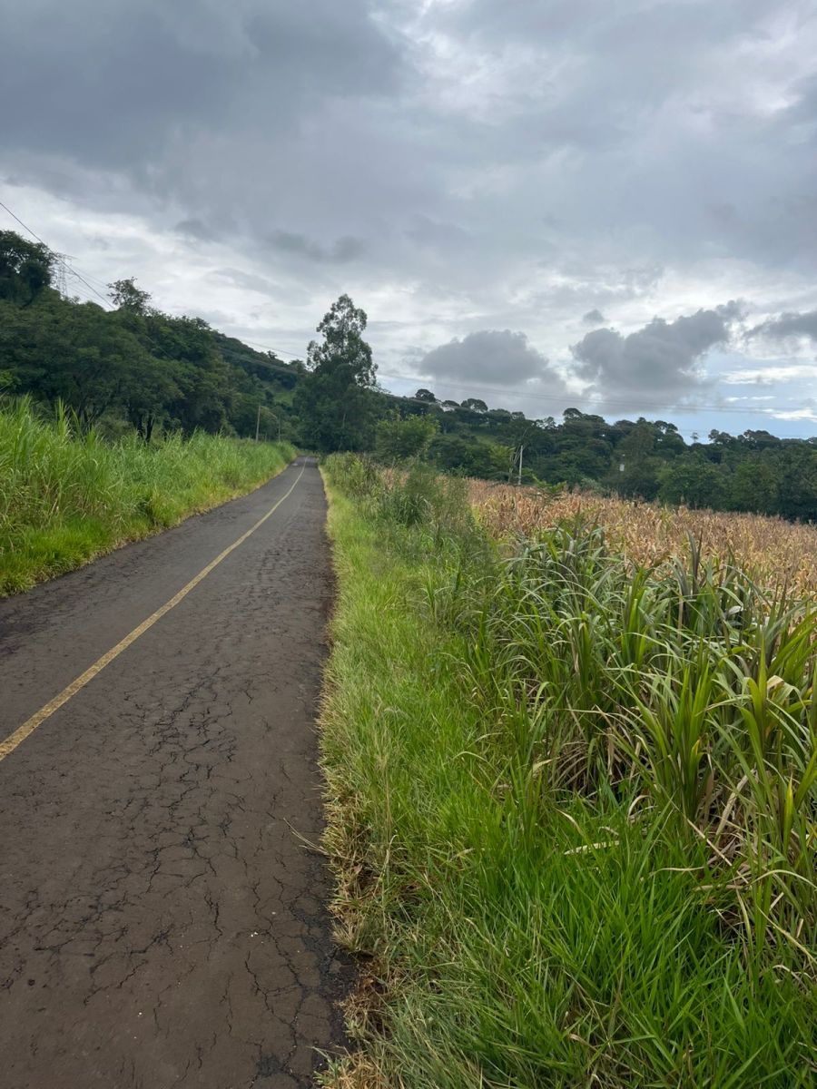 Ch�cara - Venda - S�o Br�s - Santa Helena - PR