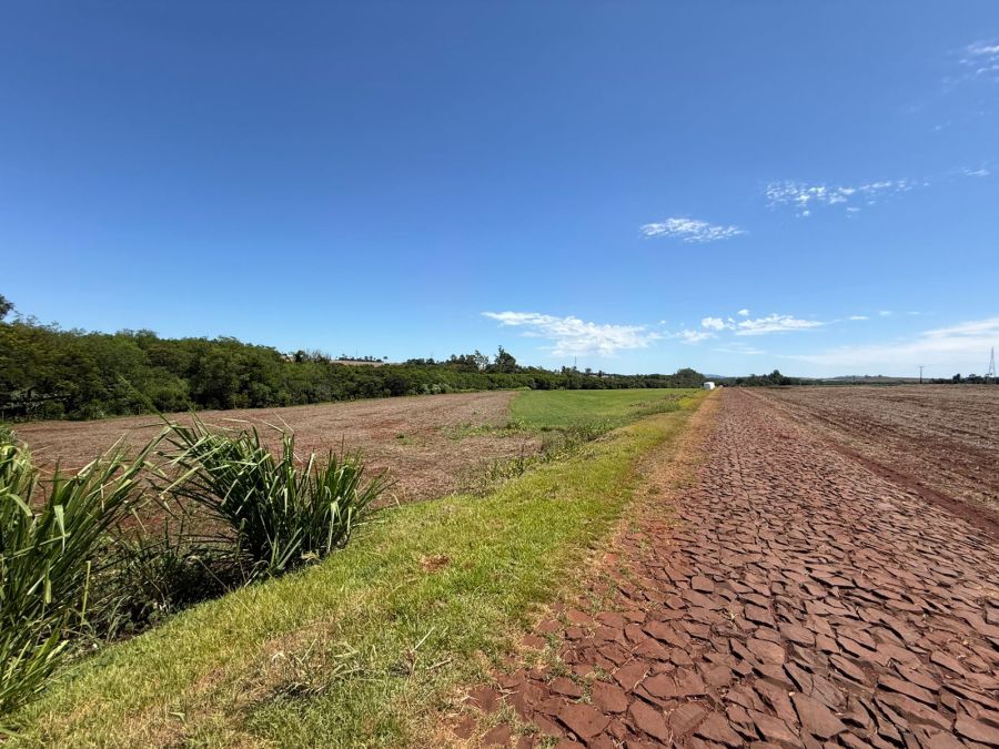 Sítio - Venda - Linha Santa Cruz - Santa Helena - PR