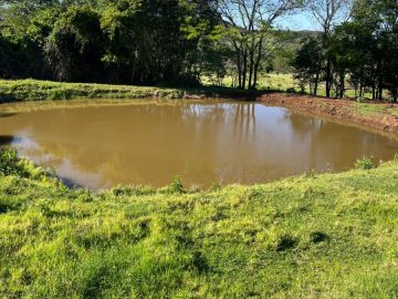 Aviario a venda em Santa Helena Pr