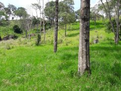 6 Alqueires por R$850.000 em Santa Helena