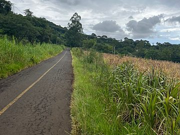 Ch�cara por R$550.000 no Linha S�o Bras